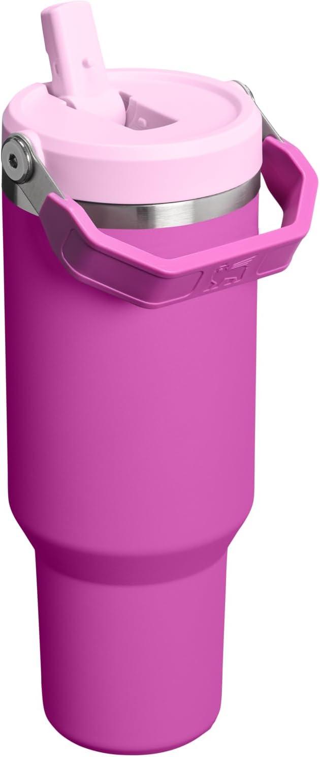 imageStanley IceFlow Flip Straw Tumbler with Handle 20 oz Twist On Lid and Flip Up Straw Leak Resistant Water Bottle Insulated Stainless Steel BPAFree PlumDark Blossom