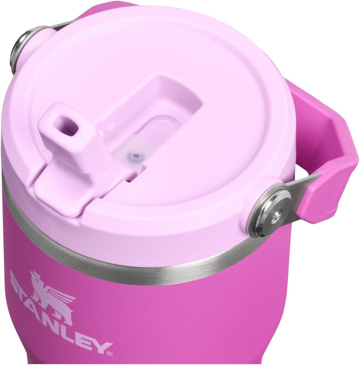 imageStanley IceFlow Flip Straw Tumbler with Handle 20 oz Twist On Lid and Flip Up Straw Leak Resistant Water Bottle Insulated Stainless Steel BPAFree PlumDark Blossom