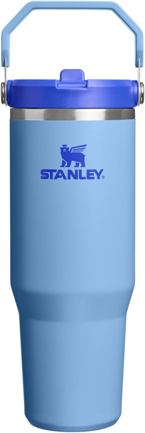 imageStanley IceFlow Flip Straw Tumbler with Handle 20 oz Twist On Lid and Flip Up Straw Leak Resistant Water Bottle Insulated Stainless Steel BPAFree PlumBlue Sky