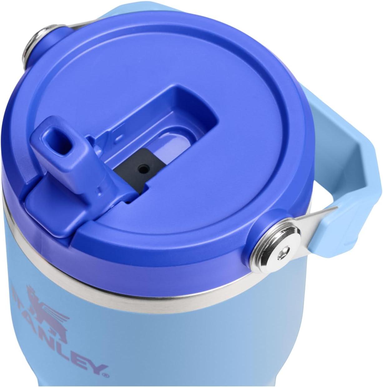 imageStanley IceFlow Flip Straw Tumbler with Handle 20 oz Twist On Lid and Flip Up Straw Leak Resistant Water Bottle Insulated Stainless Steel BPAFree PlumBlue Sky