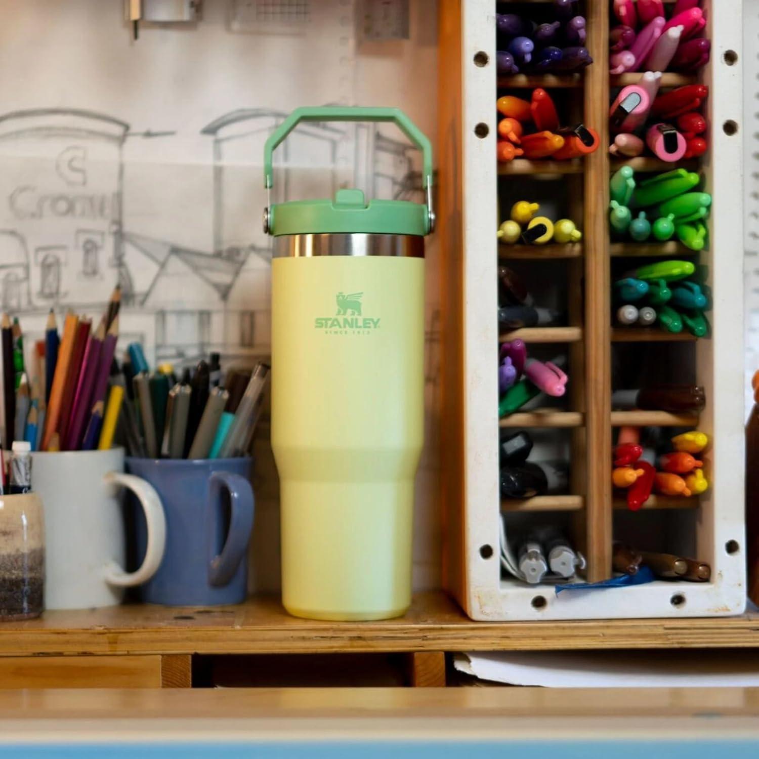 imageStanley IceFlow Flip Straw Tumbler with Handle 20 oz Twist On Lid and Flip Up Straw Leak Resistant Water Bottle Insulated Stainless Steel BPAFree PlumCitron