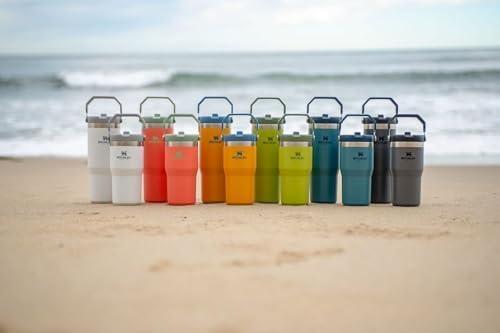 imageStanley IceFlow Flip Straw Tumbler with Handle 20 oz Twist On Lid and Flip Up Straw Leak Resistant Water Bottle Insulated Stainless Steel BPAFree PlumCharcoal
