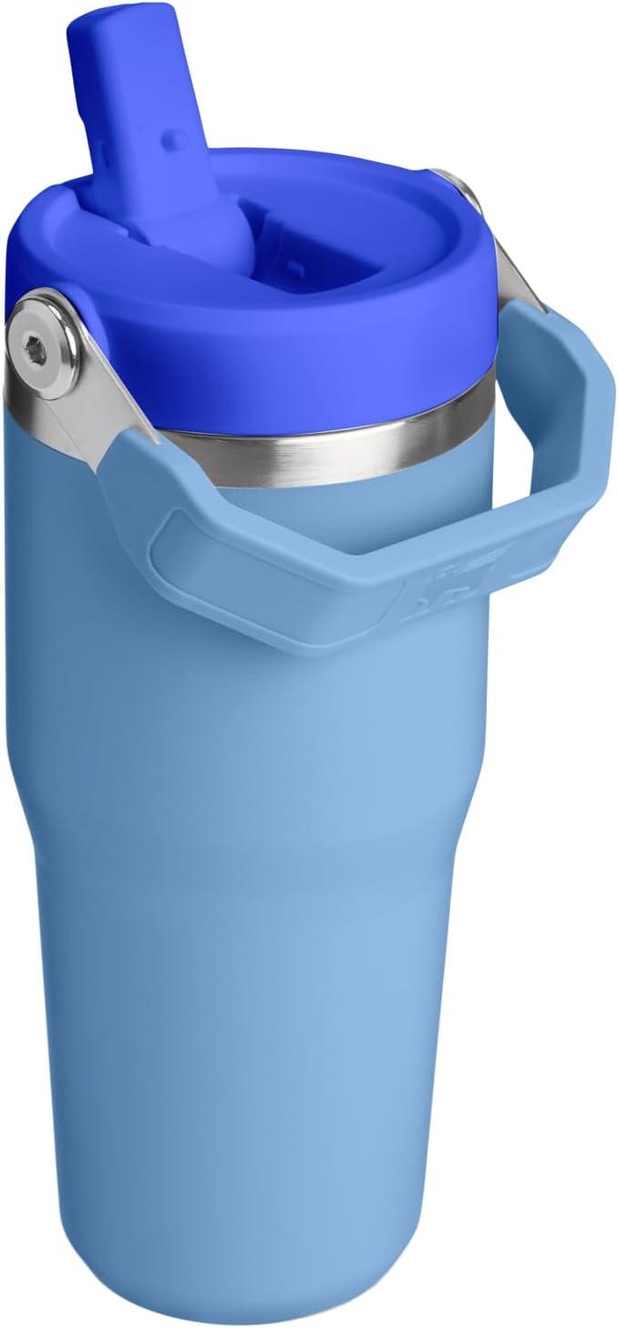 imageStanley IceFlow Flip Straw Tumbler with Handle 20 oz Twist On Lid and Flip Up Straw Leak Resistant Water Bottle Insulated Stainless Steel BPAFree PlumBlue Sky