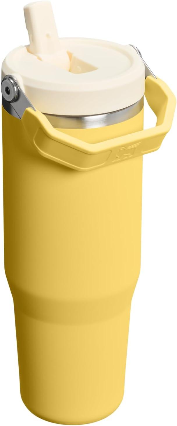 imageStanley IceFlow Flip Straw Tumbler with Handle 20 oz Twist On Lid and Flip Up Straw Leak Resistant Water Bottle Insulated Stainless Steel BPAFree PlumDaffodil