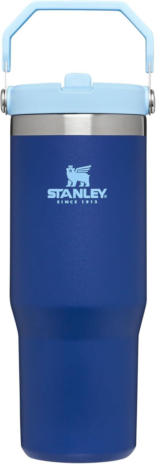 imageStanley IceFlow Flip Straw Tumbler with Handle 20 oz Twist On Lid and Flip Up Straw Leak Resistant Water Bottle Insulated Stainless Steel BPAFree PlumLapis