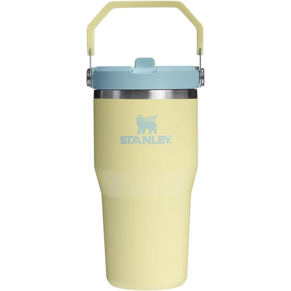 imageSTANLEY IceFlow 20 Flip Straw Tumbler with Handle 20 oz Twist On Lid and Flip Up Straw Leak Resistant Water Bottle Insulated Stainless Steel BPAFree AzurePomelo