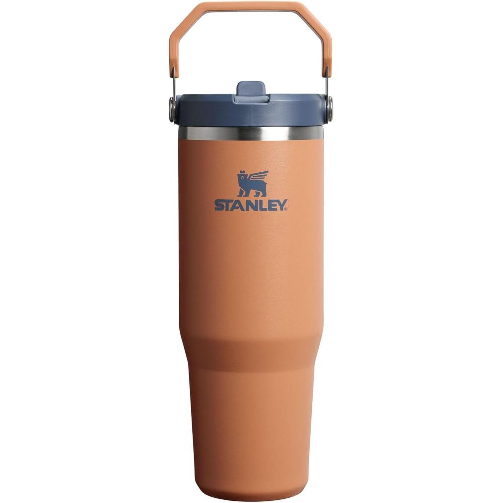 imageSTANLEY IceFlow 20 Flip Straw Tumbler with Handle 20 oz Twist On Lid and Flip Up Straw Leak Resistant Water Bottle Insulated Stainless Steel BPAFree AzureToast