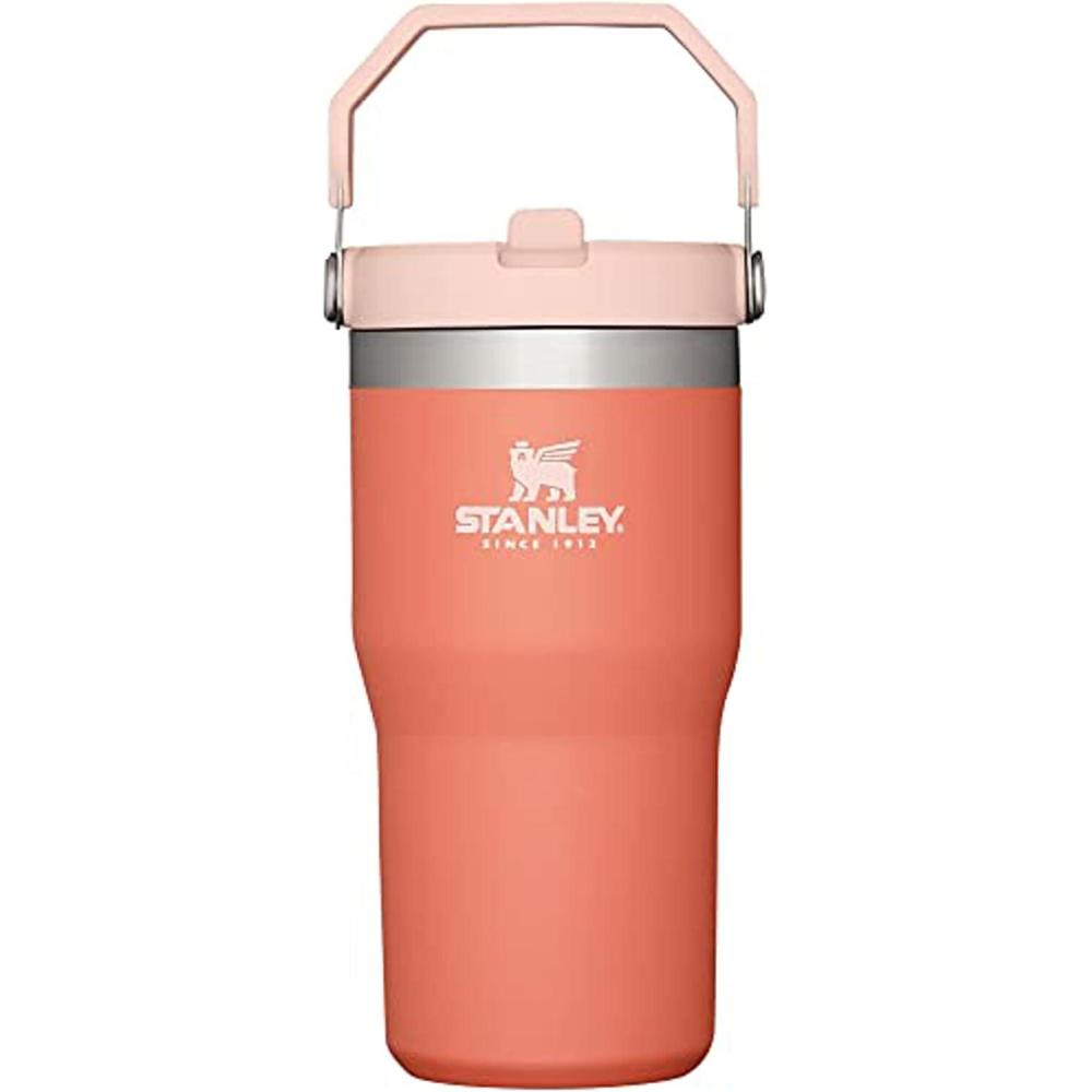 imageSTANLEY IceFlow 20 Flip Straw Tumbler with Handle 20 oz Twist On Lid and Flip Up Straw Leak Resistant Water Bottle Insulated Stainless Steel BPAFree AzureGrapefruit
