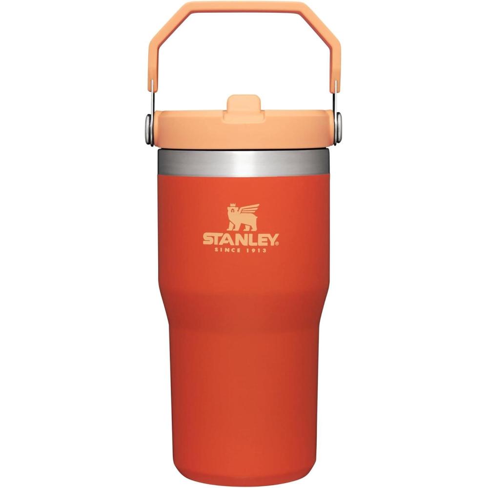 imageSTANLEY IceFlow 20 Flip Straw Tumbler with Handle 20 oz Twist On Lid and Flip Up Straw Leak Resistant Water Bottle Insulated Stainless Steel BPAFree AzureTigerlily