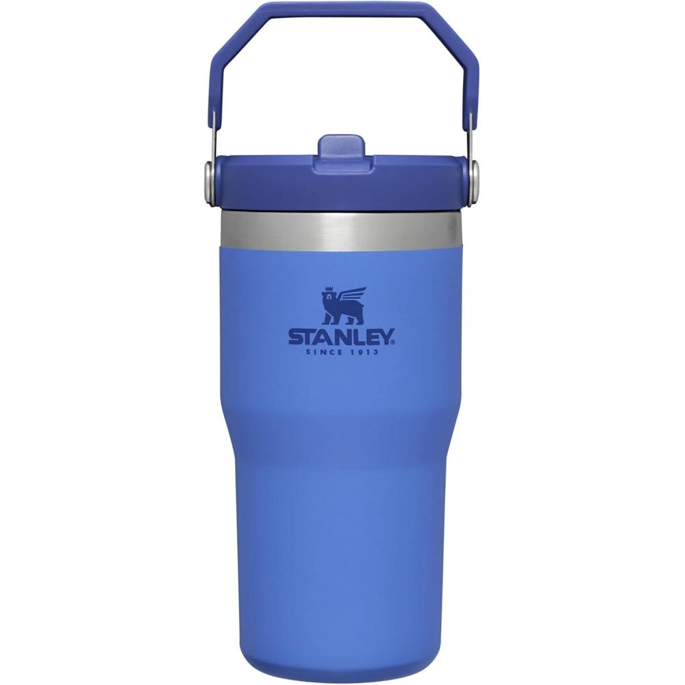 imageSTANLEY IceFlow 20 Flip Straw Tumbler with Handle 20 oz Twist On Lid and Flip Up Straw Leak Resistant Water Bottle Insulated Stainless Steel BPAFree AzureIris