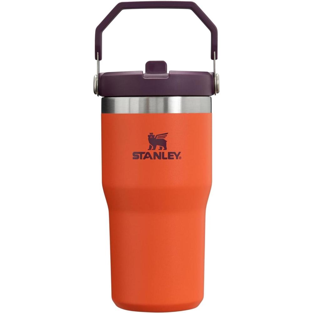 imageStanley IceFlow Flip Straw Tumbler with Handle 20 oz Twist On Lid and Flip Up Straw Leak Resistant Water Bottle Insulated Stainless Steel BPAFree PlumTigerlily Plum