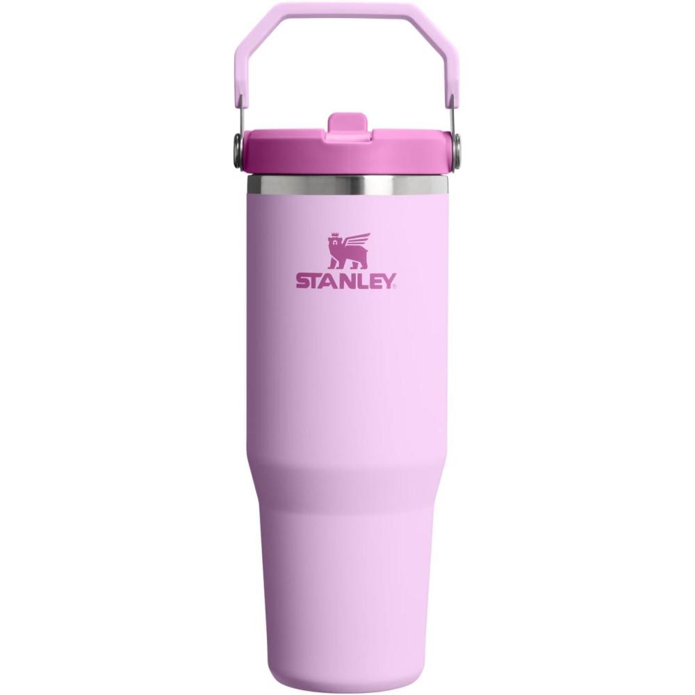 imageStanley IceFlow Flip Straw Tumbler with Handle 20 oz Twist On Lid and Flip Up Straw Leak Resistant Water Bottle Insulated Stainless Steel BPAFree PlumSoft Orchid