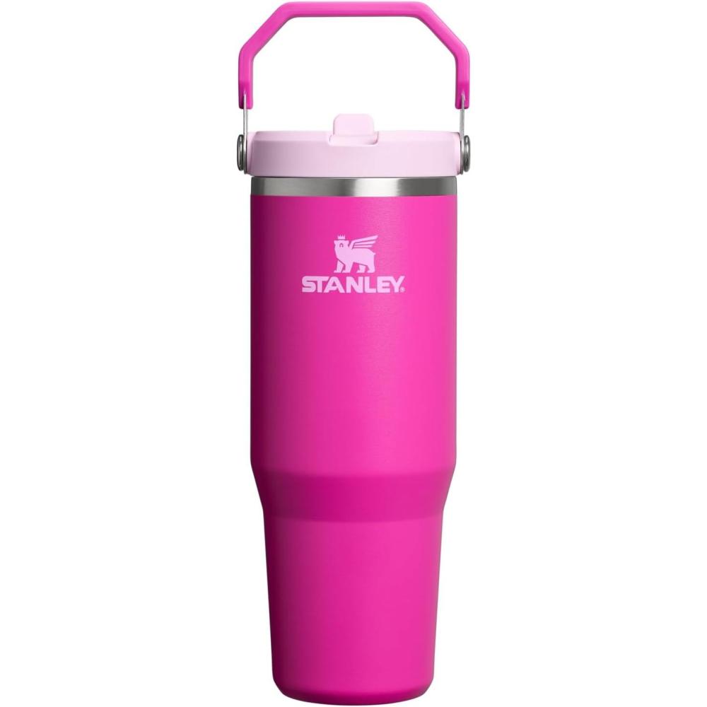imageStanley IceFlow Flip Straw Tumbler with Handle 20 oz Twist On Lid and Flip Up Straw Leak Resistant Water Bottle Insulated Stainless Steel BPAFree PlumViolet Blossom