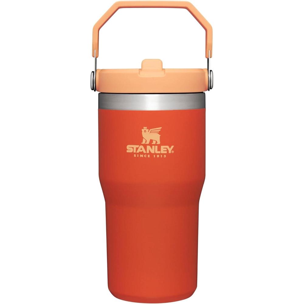 imageStanley IceFlow Flip Straw Tumbler with Handle 20 oz Twist On Lid and Flip Up Straw Leak Resistant Water Bottle Insulated Stainless Steel BPAFree PlumTigerlily