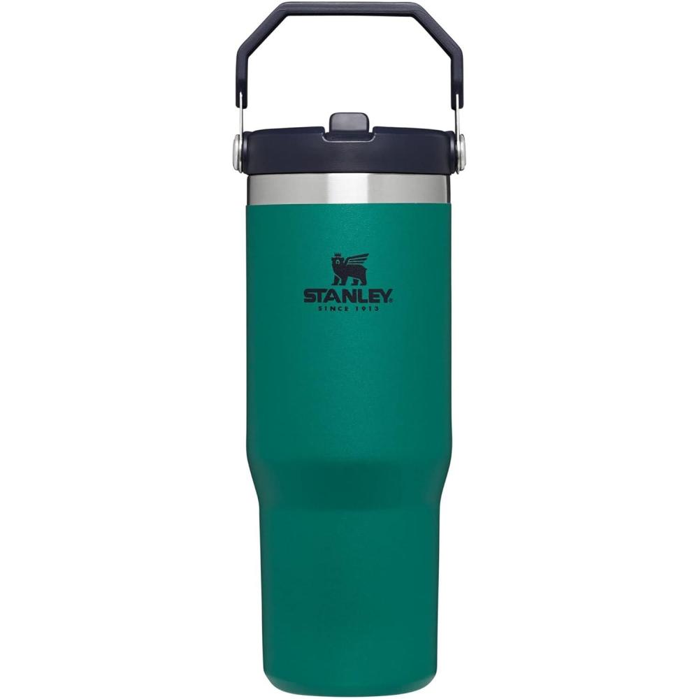 imageStanley IceFlow Flip Straw Tumbler with Handle 20 oz  Twist On Lid and Flip Up Straw  Leak Resistant Water Bottle  Insulated Stainless Steel BPAFree  PlumTidepool