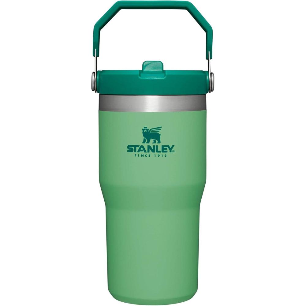 imageStanley IceFlow Flip Straw Tumbler with Handle 20 oz Twist On Lid and Flip Up Straw Leak Resistant Water Bottle Insulated Stainless Steel BPAFree PlumJade