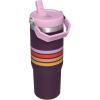 Stanley IceFlow Flip Straw Tumbler with Handle 20 oz | Twist On Lid and Flip Up Straw | Leak Resistant Water Bottle | Insulated Stainless Steel |BPA-Free | Plum(Plum Stripe)