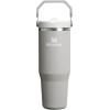 Stanley IceFlow Flip Straw Tumbler with Handle 20 oz | Twist On Lid and Flip Up Straw | Leak Resistant Water Bottle | Insulated Stainless Steel |BPA-Free | Plum(Ash)