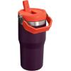 Stanley IceFlow Flip Straw Tumbler with Handle 20 oz | Twist On Lid and Flip Up Straw | Leak Resistant Water Bottle | Insulated Stainless Steel |BPA-Free | Plum(Plum)
