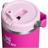 Stanley IceFlow Flip Straw Tumbler with Handle 20 oz | Twist On Lid and Flip Up Straw | Leak Resistant Water Bottle | Insulated Stainless Steel |BPA-Free | Plum(Violet Blossom)