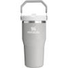 Stanley IceFlow Flip Straw Tumbler with Handle 20 oz | Twist On Lid and Flip Up Straw | Leak Resistant Water Bottle | Insulated Stainless Steel |BPA-Free | Plum(Ash)