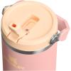Stanley IceFlow Flip Straw Tumbler with Handle 20 oz | Twist On Lid and Flip Up Straw | Leak Resistant Water Bottle | Insulated Stainless Steel |BPA-Free | Plum(Peach Rose)