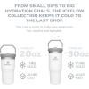 Stanley IceFlow Flip Straw Tumbler with Handle 20 oz | Twist On Lid and Flip Up Straw | Leak Resistant Water Bottle | Insulated Stainless Steel |BPA-Free | Plum(Navy Mesh)