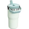 Stanley IceFlow Flip Straw Tumbler with Handle 20 oz | Twist On Lid and Flip Up Straw | Leak Resistant Water Bottle | Insulated Stainless Steel |BPA-Free | Plum(Mist)