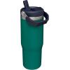 Stanley IceFlow Flip Straw Tumbler with Handle 20 oz | Twist On Lid and Flip Up Straw | Leak Resistant Water Bottle | Insulated Stainless Steel |BPA-Free | Plum(Tidepool)