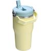 Stanley IceFlow Flip Straw Tumbler with Handle 20 oz | Twist On Lid and Flip Up Straw | Leak Resistant Water Bottle | Insulated Stainless Steel |BPA-Free | Plum(Pomelo)