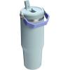 Stanley IceFlow Flip Straw Tumbler with Handle 20 oz | Twist On Lid and Flip Up Straw | Leak Resistant Water Bottle | Insulated Stainless Steel |BPA-Free | Plum(Exclusive Blue Catus)