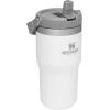 Stanley IceFlow Flip Straw Tumbler with Handle 20 oz | Twist On Lid and Flip Up Straw | Leak Resistant Water Bottle | Insulated Stainless Steel |BPA-Free | Plum(Polar)