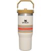 STANLEY IceFlow 2.0 Flip Straw Tumbler with Handle 20 oz | Twist On Lid and Flip Up Straw | Leak Resistant Water Bottle | Insulated Stainless Steel | BPA-Free | Azure(Cream Mesh)