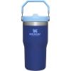 Stanley IceFlow Flip Straw Tumbler with Handle 20 oz | Twist On Lid and Flip Up Straw | Leak Resistant Water Bottle | Insulated Stainless Steel |BPA-Free | Plum(Lapis)