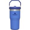 Stanley IceFlow Flip Straw Tumbler with Handle 20 oz | Twist On Lid and Flip Up Straw | Leak Resistant Water Bottle | Insulated Stainless Steel |BPA-Free | Plum(Iris)