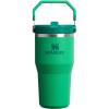 Stanley IceFlow Flip Straw Tumbler with Handle 20 oz | Twist On Lid and Flip Up Straw | Leak Resistant Water Bottle | Insulated Stainless Steel |BPA-Free | Plum(Meadow)
