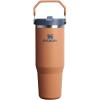 Stanley IceFlow Flip Straw Tumbler with Handle 20 oz | Twist On Lid and Flip Up Straw | Leak Resistant Water Bottle | Insulated Stainless Steel |BPA-Free | Plum(Toast)