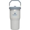Stanley IceFlow Flip Straw Tumbler with Handle 20 oz | Twist On Lid and Flip Up Straw | Leak Resistant Water Bottle | Insulated Stainless Steel |BPA-Free | Plum(Fog)