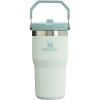 Stanley IceFlow Flip Straw Tumbler with Handle 20 oz | Twist On Lid and Flip Up Straw | Leak Resistant Water Bottle | Insulated Stainless Steel |BPA-Free | Plum(Mist)