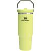 Stanley IceFlow Flip Straw Tumbler with Handle 20 oz | Twist On Lid and Flip Up Straw | Leak Resistant Water Bottle | Insulated Stainless Steel |BPA-Free | Plum(Prickly Pear)