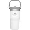 Stanley IceFlow Flip Straw Tumbler with Handle 20 oz | Twist On Lid and Flip Up Straw | Leak Resistant Water Bottle | Insulated Stainless Steel |BPA-Free | Plum(Polar)