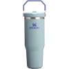 Stanley IceFlow Flip Straw Tumbler with Handle 20 oz | Twist On Lid and Flip Up Straw | Leak Resistant Water Bottle | Insulated Stainless Steel |BPA-Free | Plum(Exclusive Blue Catus)