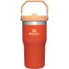 Stanley IceFlow Flip Straw Tumbler with Handle 20 oz | Twist On Lid and Flip Up Straw | Leak Resistant Water Bottle | Insulated Stainless Steel |BPA-Free | Plum(Tigerlily)
