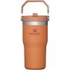 Stanley IceFlow Flip Straw Tumbler with Handle 20 oz | Twist On Lid and Flip Up Straw | Leak Resistant Water Bottle | Insulated Stainless Steel |BPA-Free | Plum(Ochre)