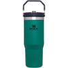 Stanley IceFlow Flip Straw Tumbler with Handle 20 oz | Twist On Lid and Flip Up Straw | Leak Resistant Water Bottle | Insulated Stainless Steel |BPA-Free | Plum(Tidepool)