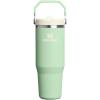 Stanley IceFlow Flip Straw Tumbler with Handle 20 oz | Twist On Lid and Flip Up Straw | Leak Resistant Water Bottle | Insulated Stainless Steel |BPA-Free | Plum(Pistachio)