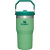 Stanley IceFlow Flip Straw Tumbler with Handle 20 oz | Twist On Lid and Flip Up Straw | Leak Resistant Water Bottle | Insulated Stainless Steel |BPA-Free | Plum(Jade)