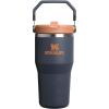 Stanley IceFlow Flip Straw Tumbler with Handle 20 oz | Twist On Lid and Flip Up Straw | Leak Resistant Water Bottle | Insulated Stainless Steel |BPA-Free | Plum(Twilight)