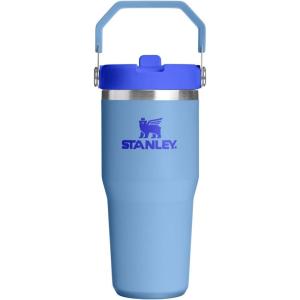 STANLEY IceFlow 2.0 Flip Straw Tumbler with Handle 20 oz | Twist On Lid and Flip Up Straw | Leak Resistant Water Bottle | Insulated Stainless Steel | BPA-Free | Azure(Blue Sky)