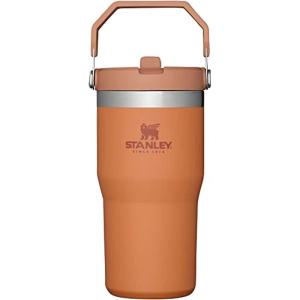 STANLEY IceFlow 2.0 Flip Straw Tumbler with Handle 20 oz | Twist On Lid and Flip Up Straw | Leak Resistant Water Bottle | Insulated Stainless Steel | BPA-Free | Azure(Ochre)